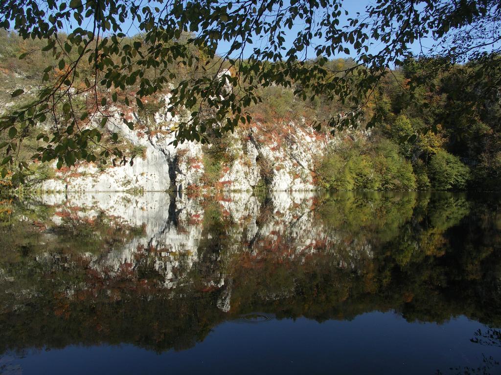 B&B Plitvice Lakes Villa Irene เซลิสเต เดรซิสโก ภายนอก รูปภาพ