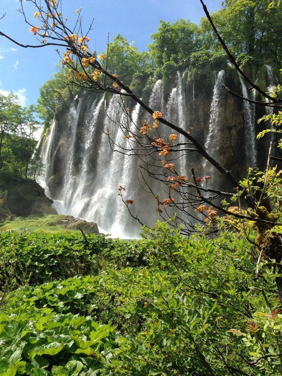 B&B Plitvice Lakes Villa Irene เซลิสเต เดรซิสโก ภายนอก รูปภาพ